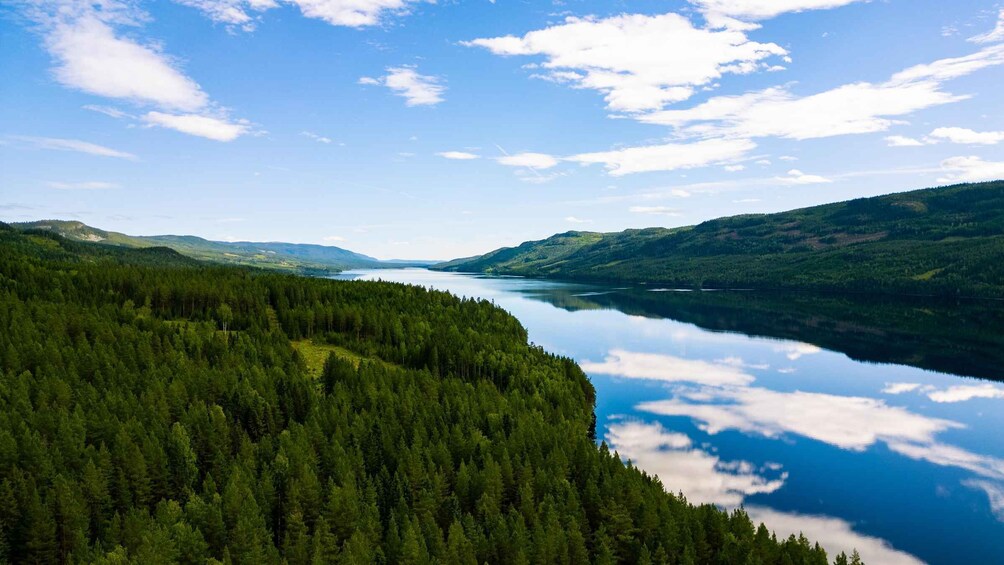 Picture 4 for Activity The Hunt for Wild Brown Trout | Guided Fishing in Norway 2