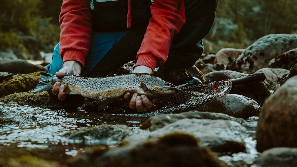 Picture 1 for Activity The Hunt for Wild Brown Trout | Guided Fishing in Norway 5