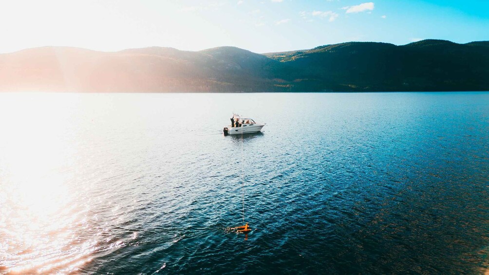 The Hunt for Wild Brown Trout | Guided Fishing in Norway 1