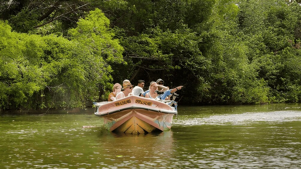 Picture 4 for Activity Mawella: Lagoon Boat Tour with Birdwatching 2