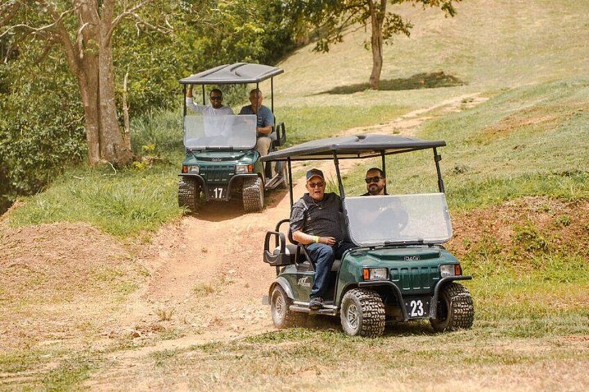 Two golf carts on a dirt path in a grassy area with trees. 2