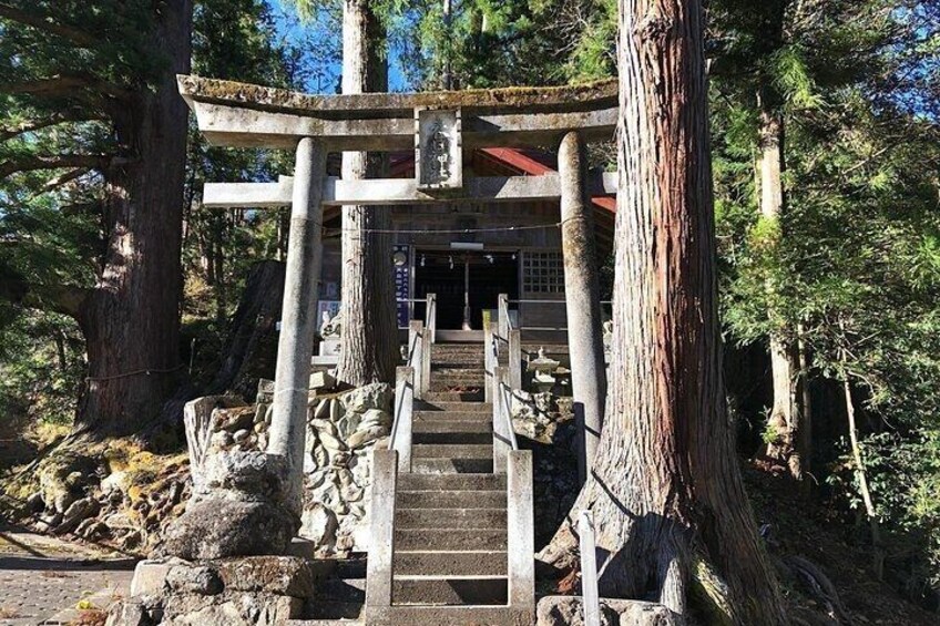 Hinohara and Okutama Nature Escape Tour 2
