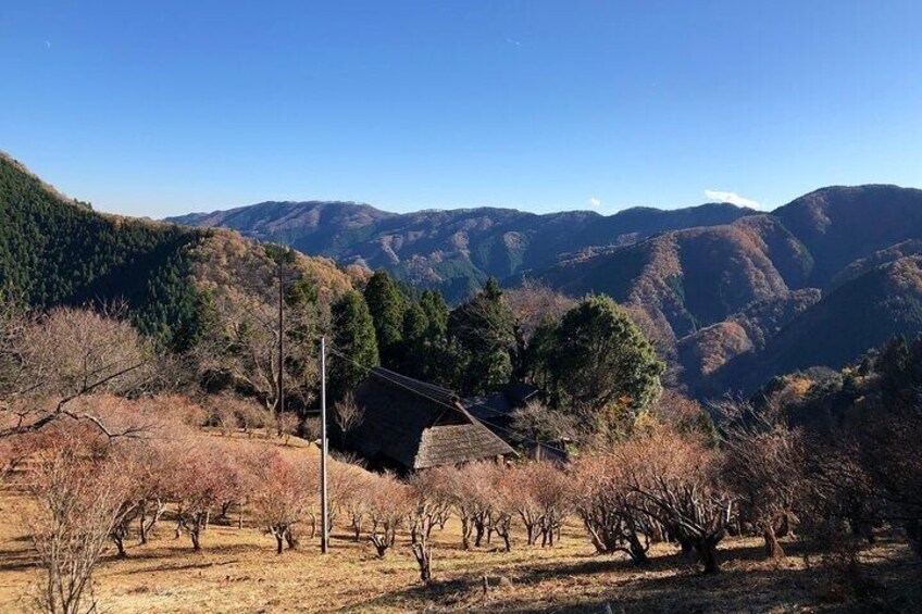 Hinohara and Okutama Nature Escape Tour 3