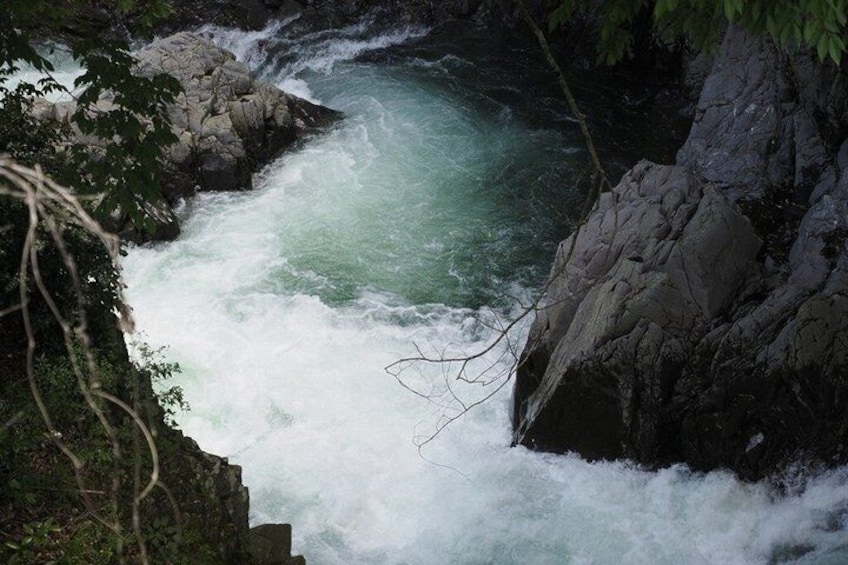 Luxury Nikko Heritage Tour with English Speaking Guide 3