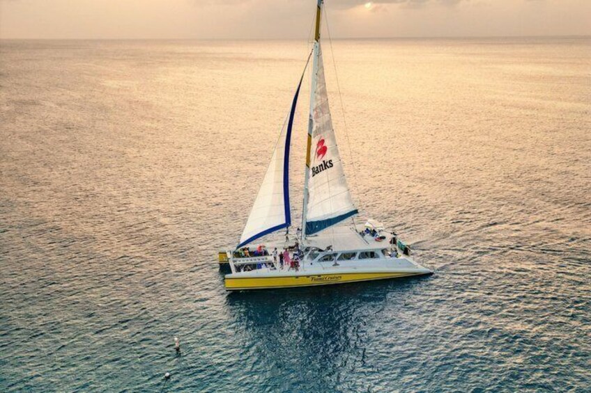 Pan on the Sea Sunset Cruise with Steel Pan Music 3