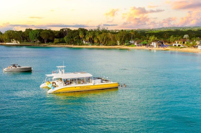 A yellow boat on calm waters with a beach and trees in the background. 2