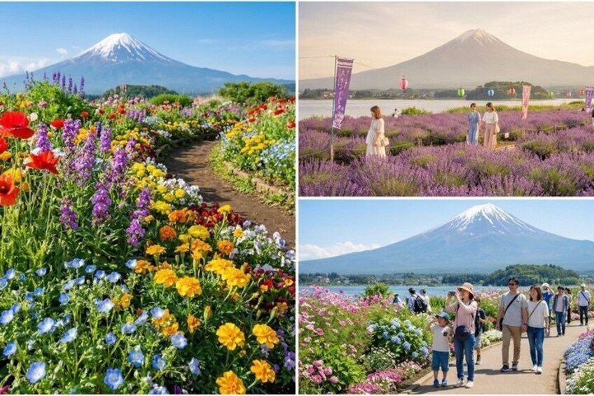 Private Mount Fuji Tour with Chureito Pagoda from Tokyo 4