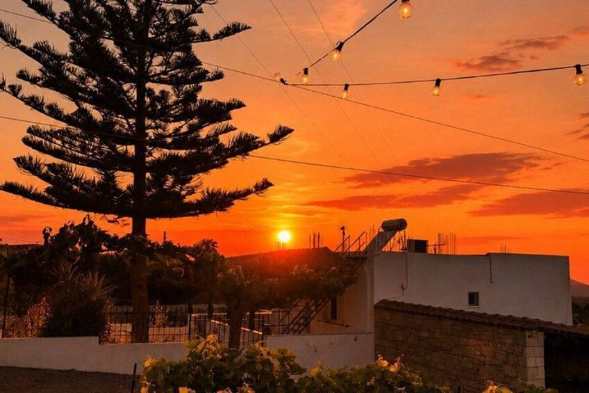 A sunset, a tree, and a building. 4