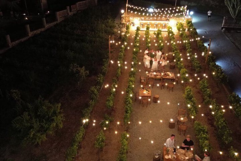 Vynea Wine Tasting Experience 3
