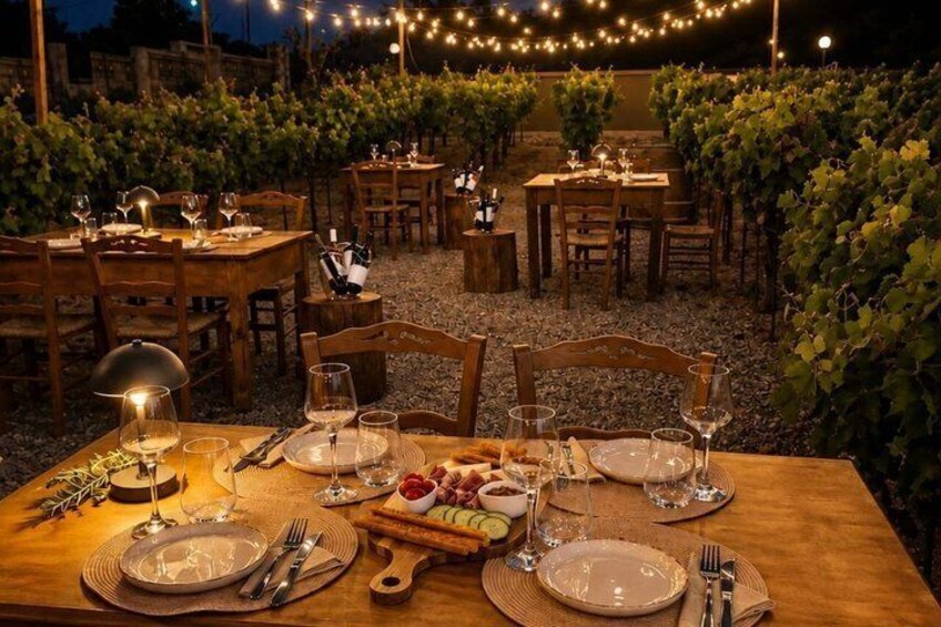 Vynea Wine Tasting Experience 1