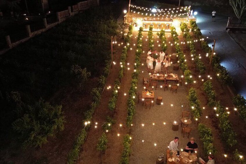 An outdoor dining area with string lights, tables, and chairs arranged in rows. 3