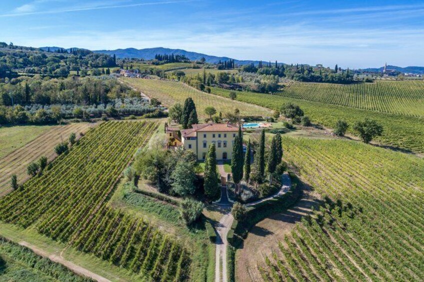 Wine Tasting Experience at Tenute San Fabiano in Arezzo 4