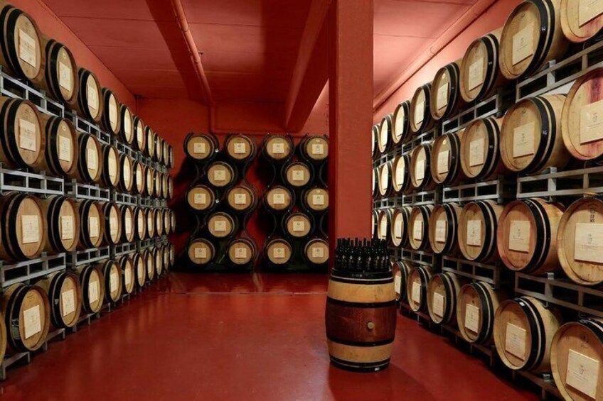 Wine Tasting Experience at Tenute San Fabiano in Arezzo 1