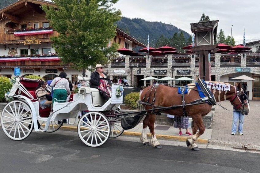 Leavenworth Day Trip from Seattle with Scenic Cascade Mountains 1