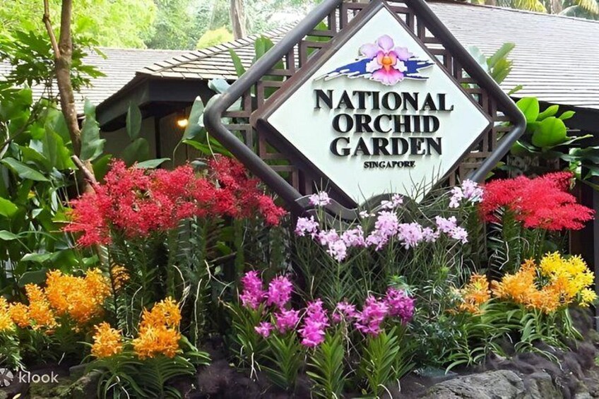Half Day Tour of Singapore with Orchid Garden Ticket 3