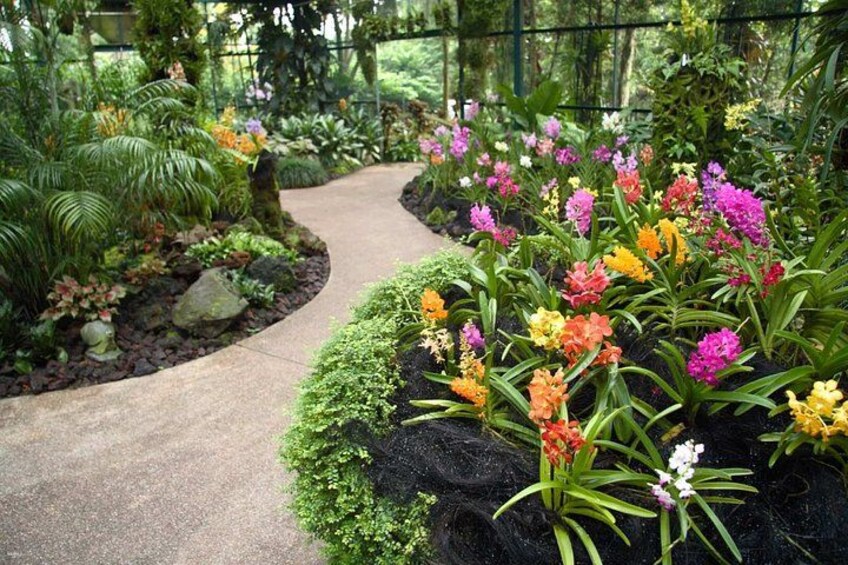 Half Day Tour of Singapore with Orchid Garden Ticket 2
