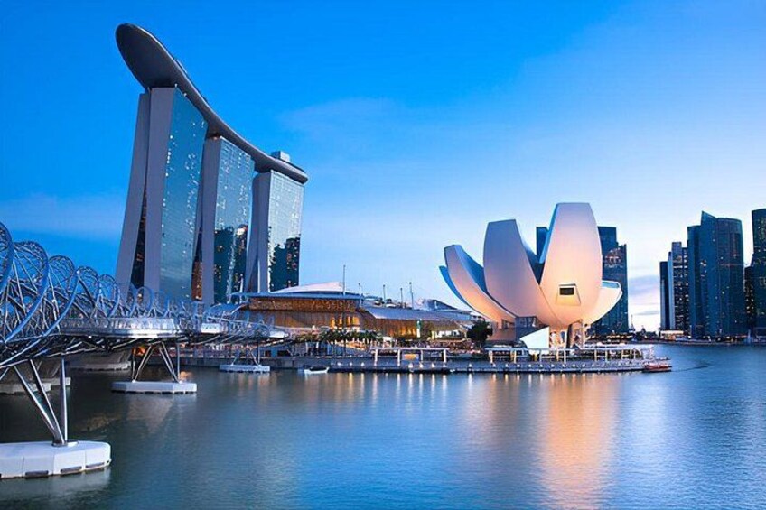 Half Day Tour of Singapore with Orchid Garden Ticket 1