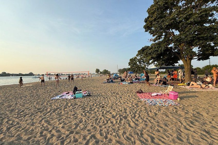 A sandy beach with people sunbathing, a volleyball net, and a large tree. 2
