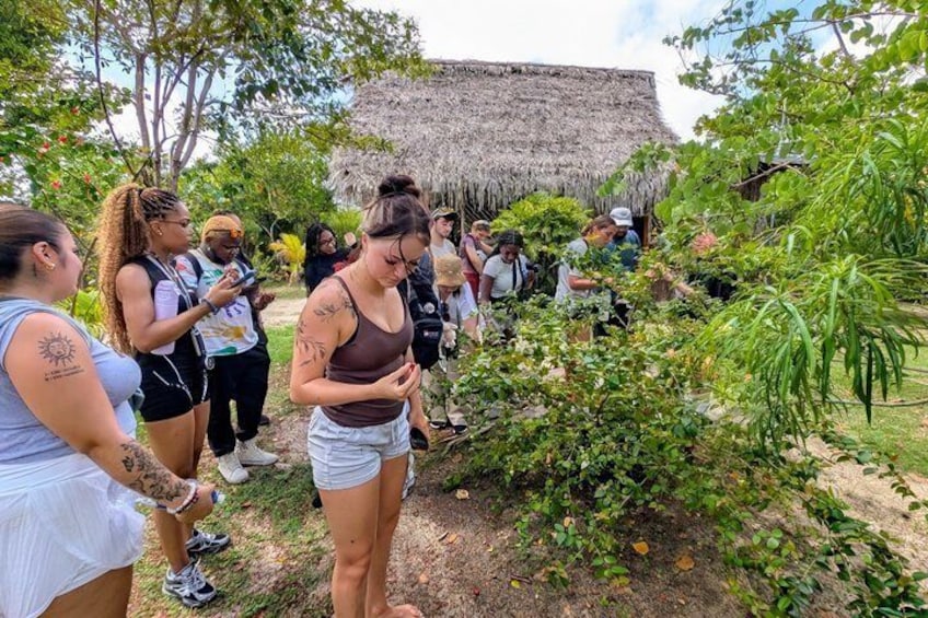 Hopkins Village Food History and Heritage Tour 2