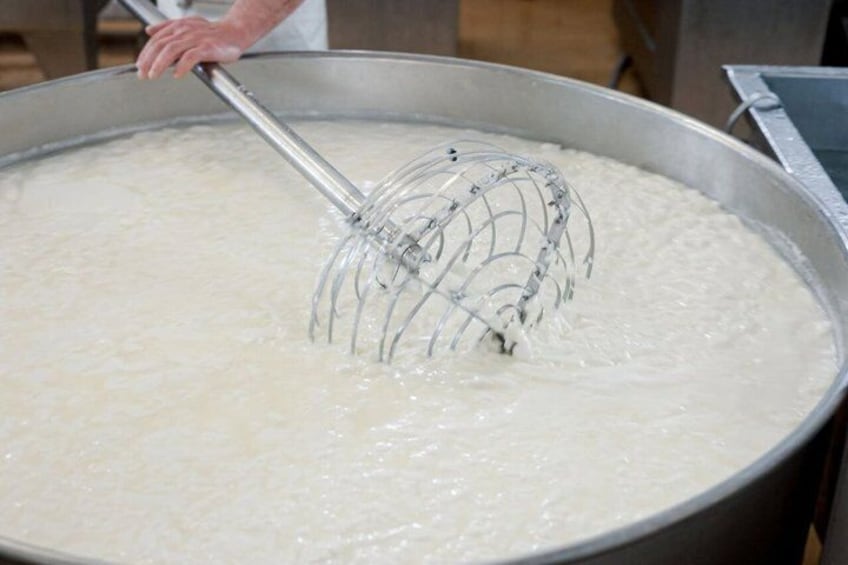 Learn the Art of Handcrafted Mozzarella at Talea Cheese Academy 3