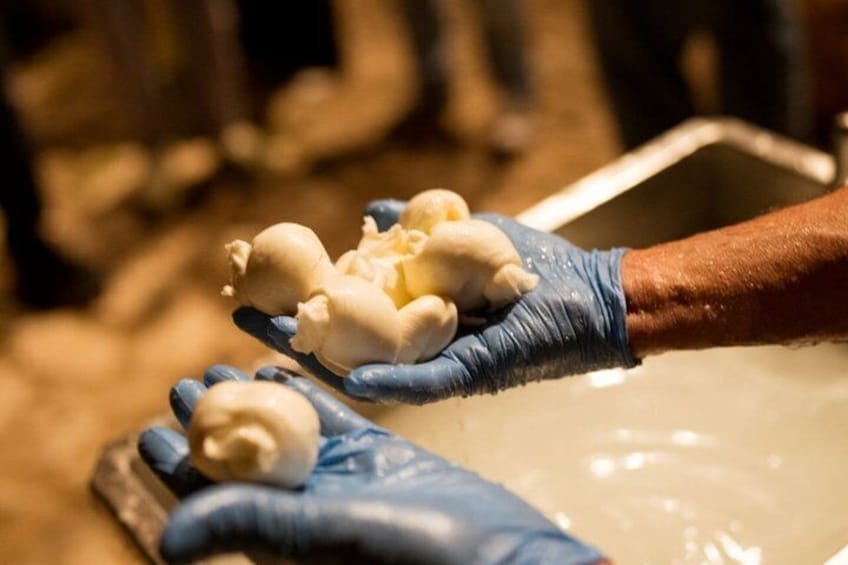 Learn the Art of Handcrafted Mozzarella at Talea Cheese Academy 1