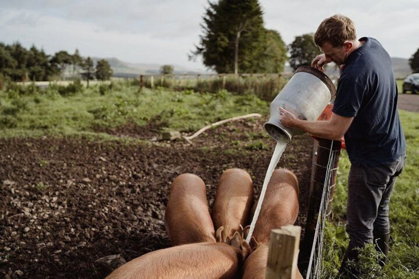 A person pouring liquid from a metal container into a wooden structure in a field. 2