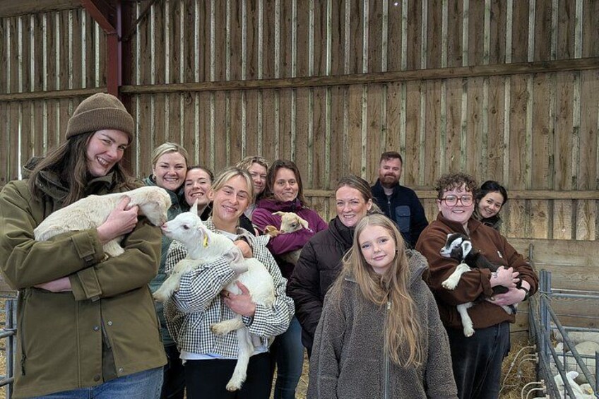Working Farm Tour at Errington Cheese 2