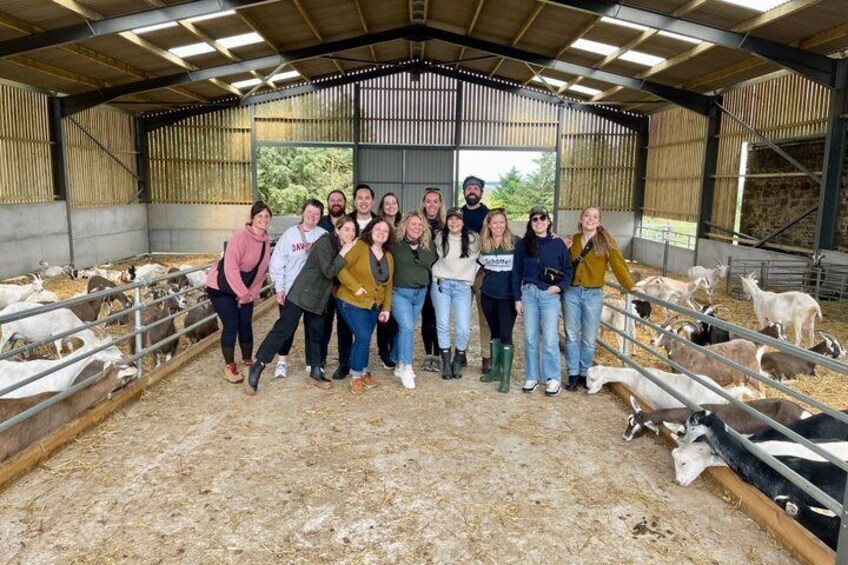 Working Farm Tour at Errington Cheese 1