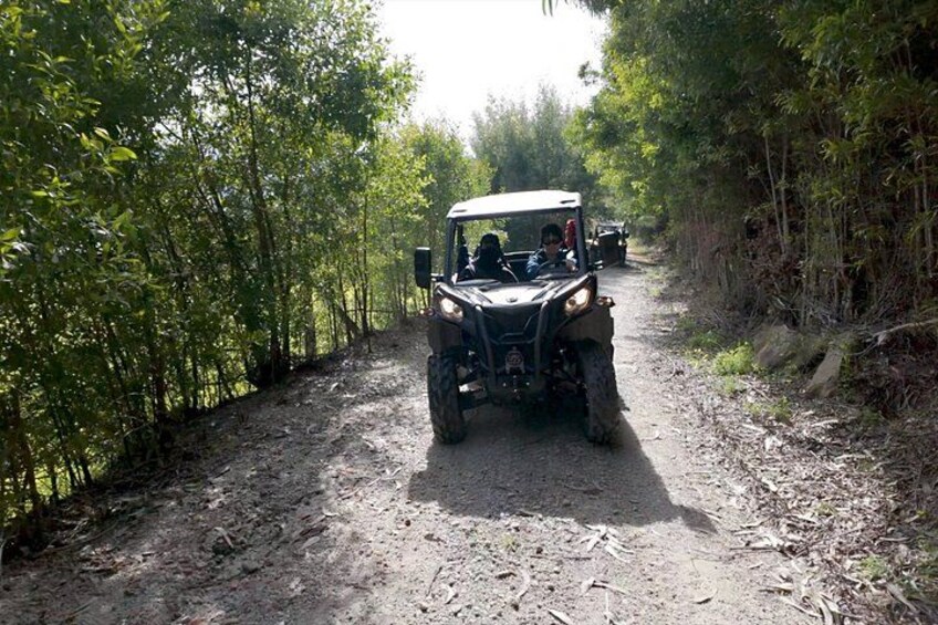A vehicle on a dirt path surrounded by trees. 5