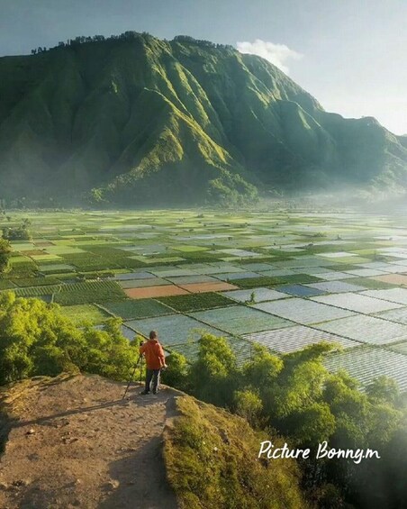 A hiker on a trail overlooking terraced rice fields and a mountain. 4