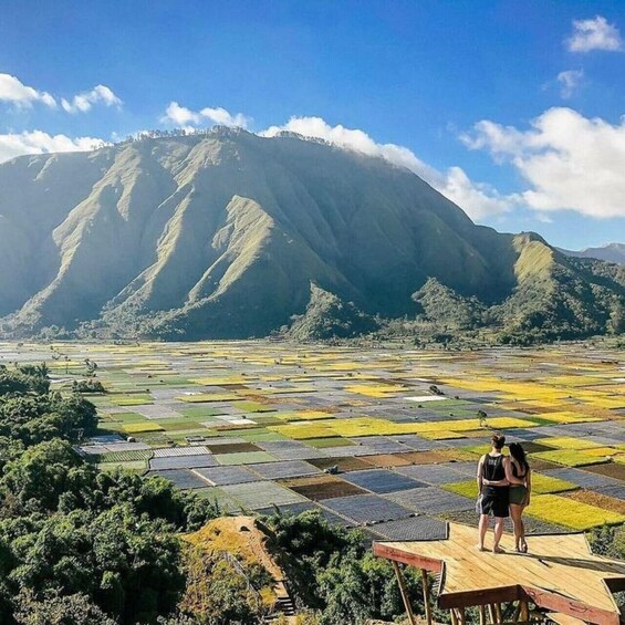 A couple standing on a wooden platform overlooking terraced fields and a mountain. 2