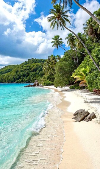A tropical beach with clear turquoise water, white sand, and palm trees. 3