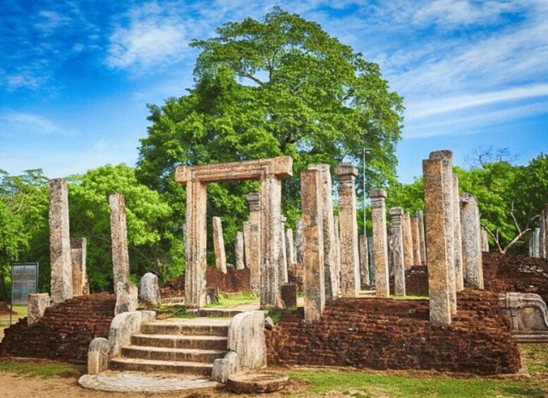Ancient stone ruins with columns and steps, surrounded by lush greenery. 2