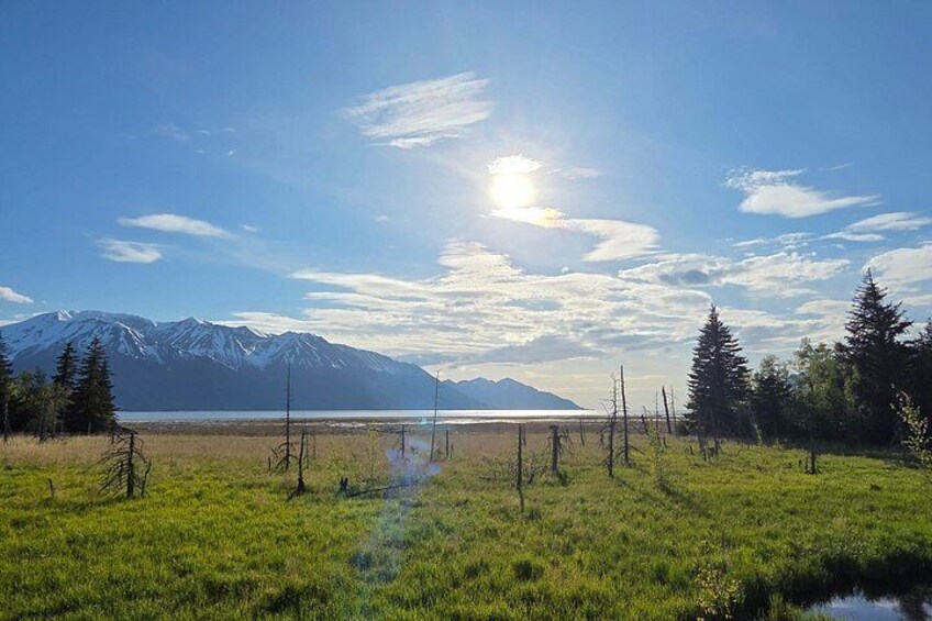 A grassy field with a mountain range in the background and a clear sky. 3