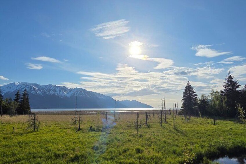 Alaska Wildlife CC and Turnagain Arm Scenic Tour from Girdwood 2
