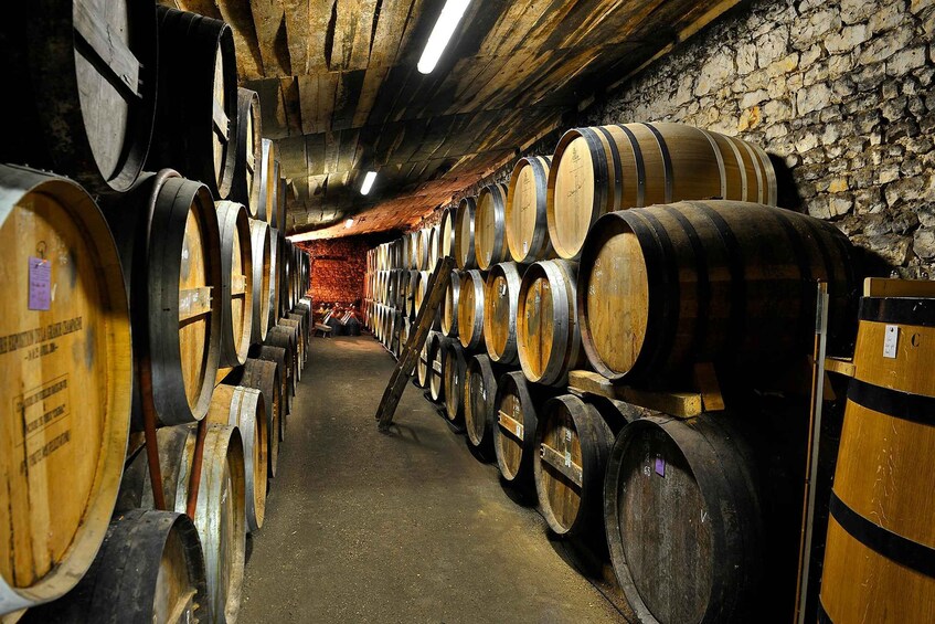 Picture 3 for Activity 10 minutes south of Cognac: Visit to a family-run winery 2