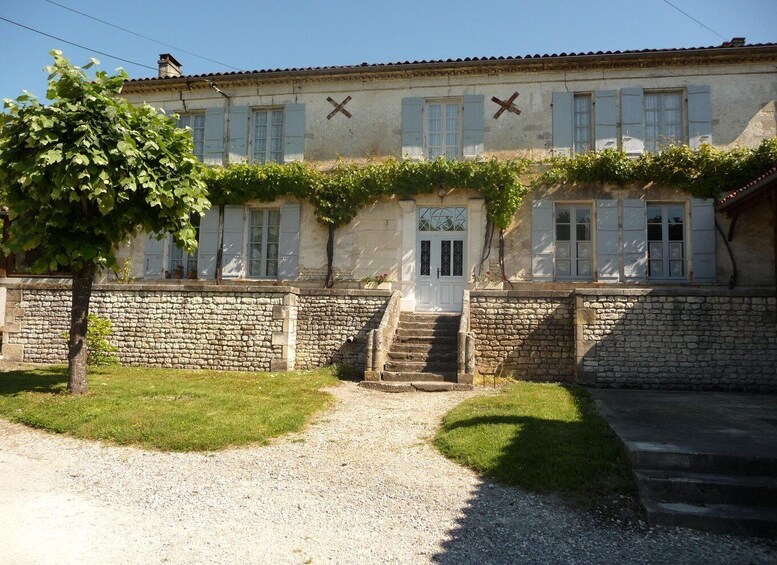 Picture 2 for Activity 10 minutes south of Cognac: Visit to a family-run winery 4