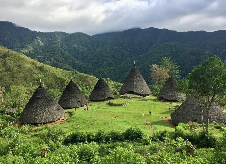 A village with thatched-roof huts in a lush valley. 1