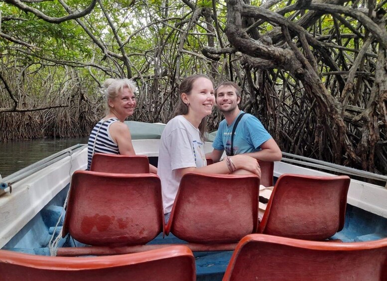 Picture 4 for Activity Hikkaduwa: Kayaking, Village Walk & Madu River Experience 4