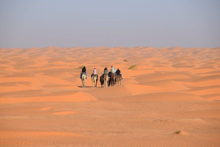 Sahara Starry Night: Sunset Camel Trek & Overnight Desert Camp 2