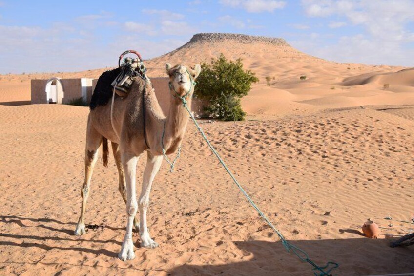 2-Day Overnight Sahara Desert ATV Quad Bike Adventure from Douz 2