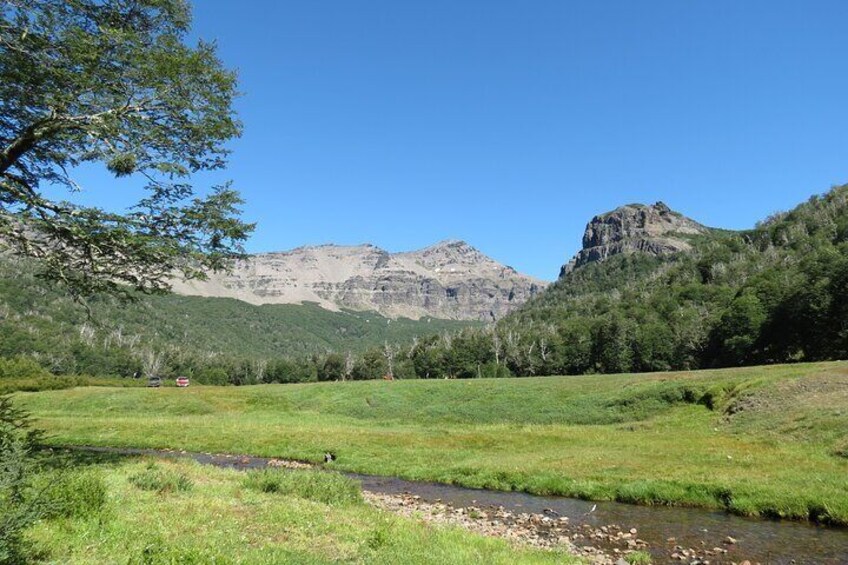 A grassy field with a stream, trees, and mountains in the background. 5