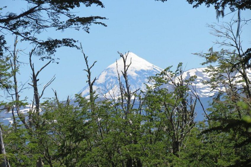 A snow-capped mountain, forested foreground, and clear sky. 1