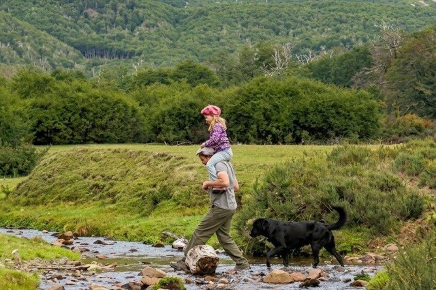 A person walking a dog across a stream in a grassy area with hills in the background. 1