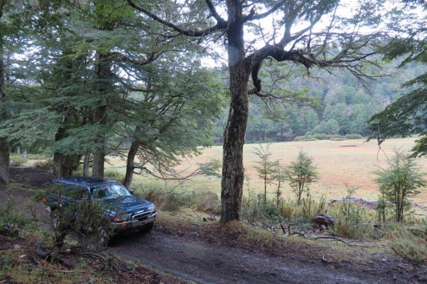 A car parked on a dirt path surrounded by trees in a forested area. 4