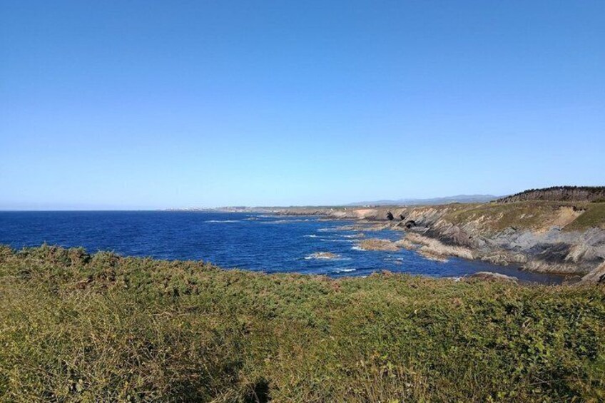 The Heartbeat of the Coast Birds and Landscape in Arnao and Castropol 1