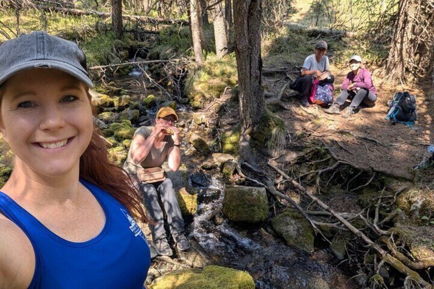 Calgary: Canadian Rockies Low-Impact Hiking Tour 4