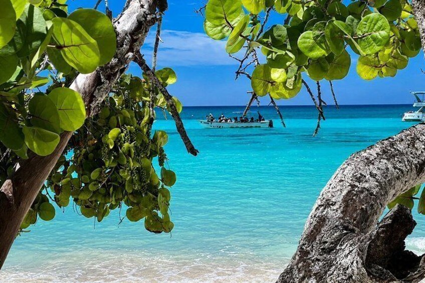 A clear turquoise sea, a boat with people, and a tree with green leaves. 5