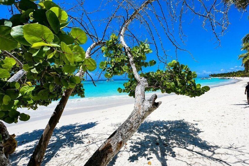 A beach with white sand, clear turquoise water, and green foliage. 2