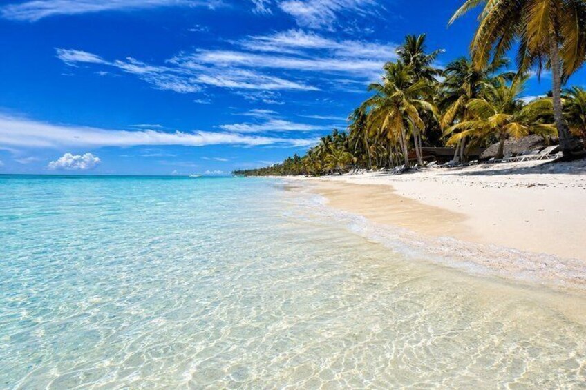 A beach with clear turquoise water, white sand, and palm trees. 1